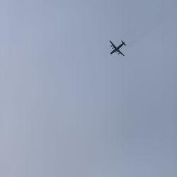 Low angle view of airplane flying in sky