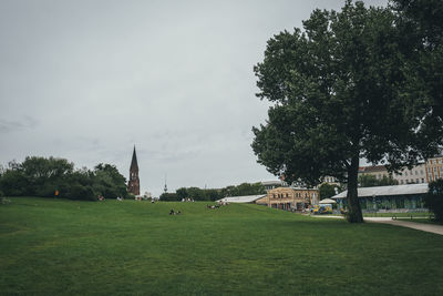 Trees on field against sky