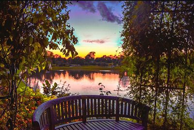 Reflection of trees in lake