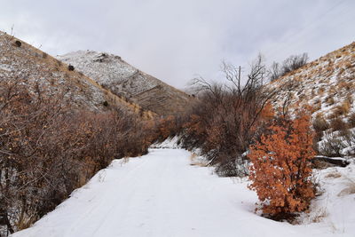 Lake mountains peak,  israel canyon radio towers, utah lake, wasatch front rocky mountains, provo.