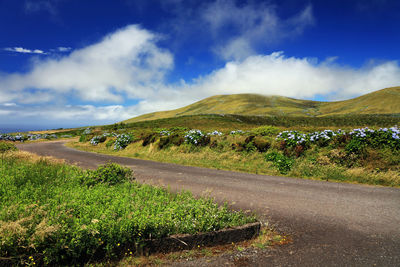 Road amidst green landscape against sky