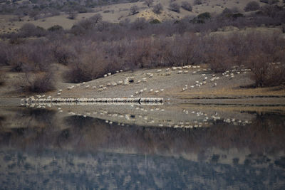Aerial view of a desert