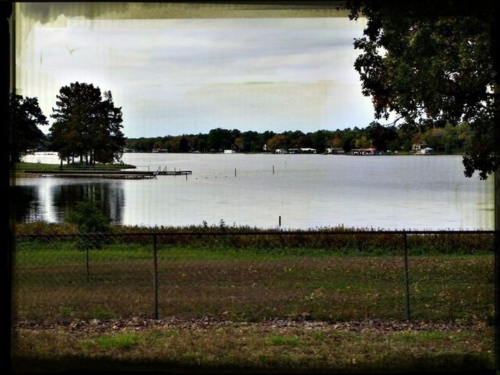 tree, water, sky, tranquility, tranquil scene, grass, lake, transfer print, scenics, growth, nature, beauty in nature, auto post production filter, landscape, plant, river, cloud, cloud - sky, green color, reflection