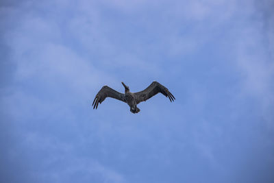 flying