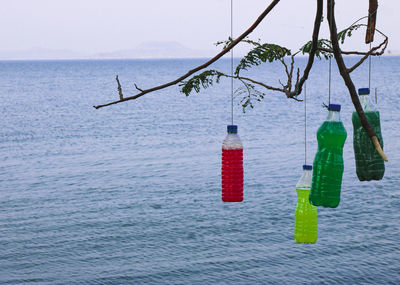 Close-up of red hanging over sea against sky