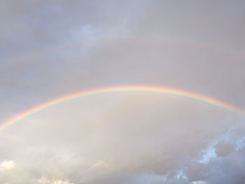 Rainbow over trees