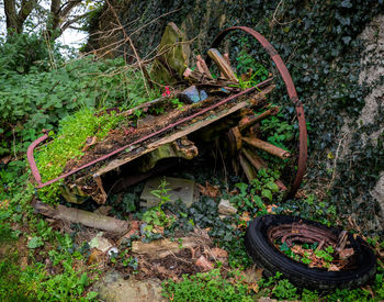 Old rusty bicycle on field