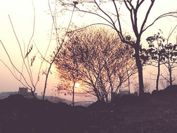 Silhouette bare tree by sea against sky during sunset