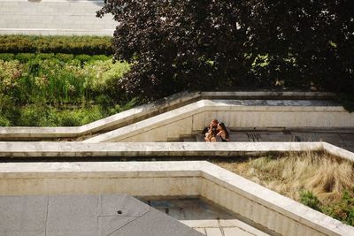 People sitting on staircase against trees