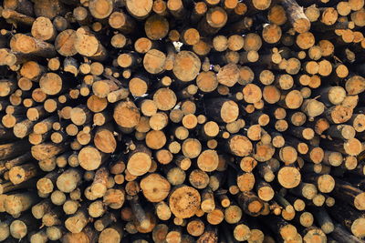 Full frame shot of logs