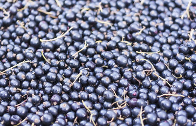 Full frame shot of blueberries