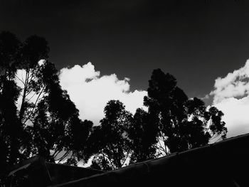Low angle view of silhouette trees against sky