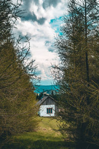 Trees and house in forest against sky