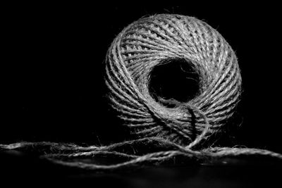 Close-up of snake against black background