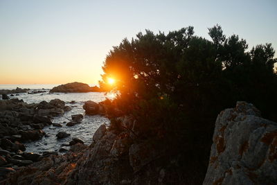 Scenic view of sea against clear sky during sunset