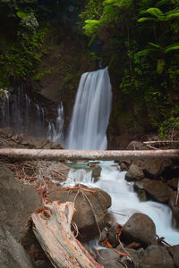 Scenic view of waterfall in forest