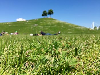 Grassy field against clear sky