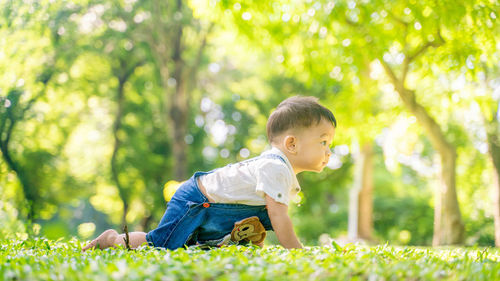Rear view of boy on plants against trees
