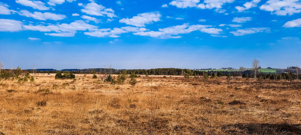 Scenic view of field against sky