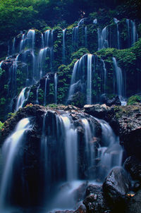 Waterfall in forest