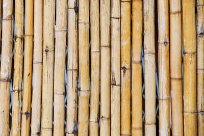 Full frame shot of bamboo fence