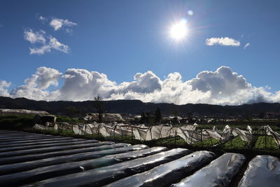 Scenic view of landscape against sky on sunny day