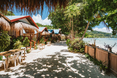 Plants growing on beach by houses and trees against sky