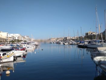 Sailboats moored at harbor against clear sky