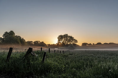 Scenic view of field against clear sky during sunset