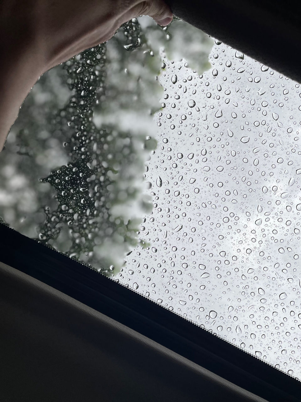 glass, window, wet, drop, indoors, rain, water, transparent, vehicle interior, nature, close-up, car, mode of transportation, transportation, car interior, motor vehicle, windshield, white, raindrop, day, black, focus on foreground, light, no people, monsoon, rainy season, land vehicle, macro photography