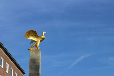 Low angle view of bird against sky