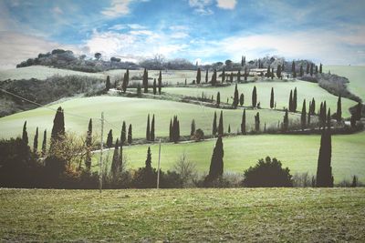 Scenic view of field against cloudy sky