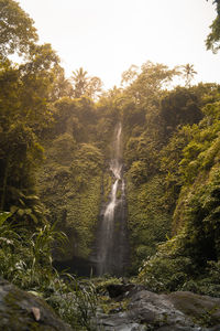 Scenic view of waterfall in forest against sky