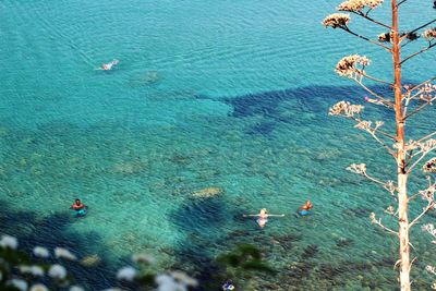 High angle view of people swimming in sea