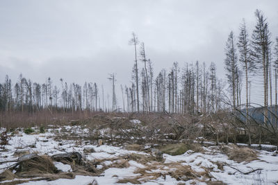 Snow covered landscape against sky