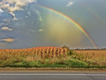View of rainbow over countryside landscape