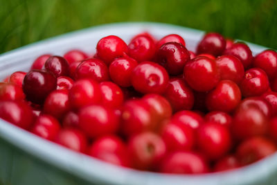 Close-up of cherries in bowl