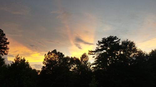 Silhouette trees against sky during sunset