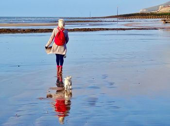 Rear view of woman with dog walking at beach