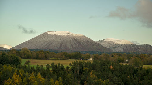 View of trees with mountain in background