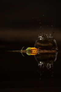 Close-up of splashing water against black background