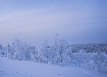 Snow covered land against sky