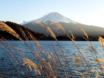 Scenic view of sea by snowcapped mountains against sky