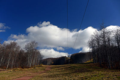 Trees on field against sky