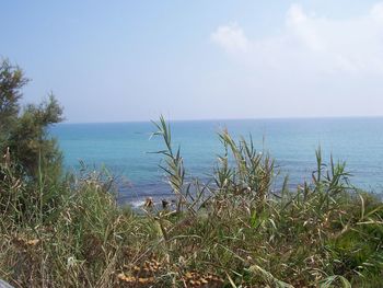 Scenic view of sea against clear sky