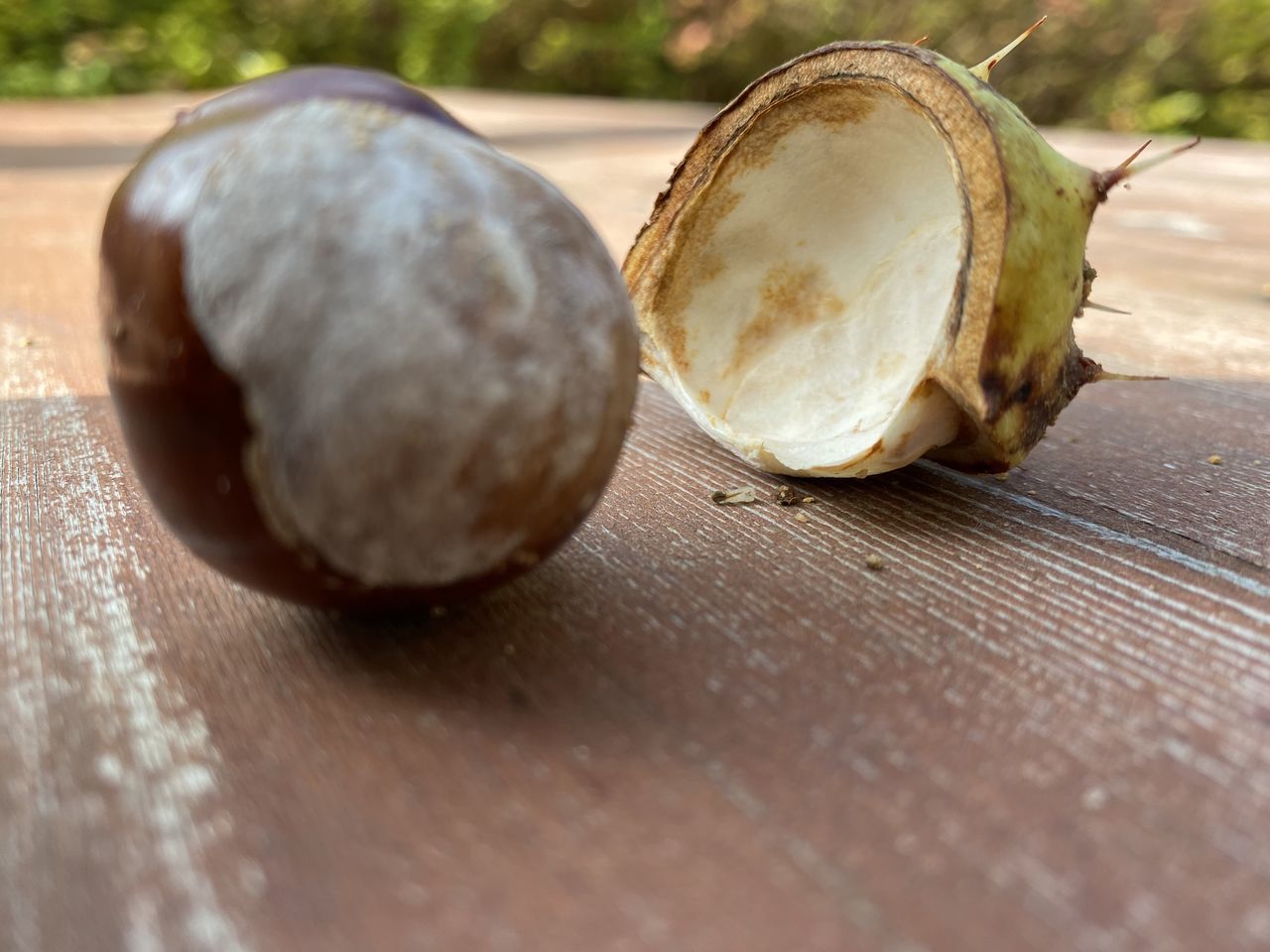 CLOSE-UP OF SLICED ON TABLE