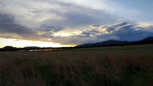 Scenic view of field against sky during sunset