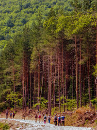 Group of people in the forest