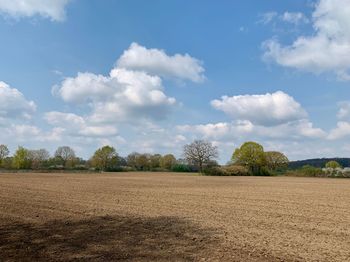 Scenic view of field against sky
