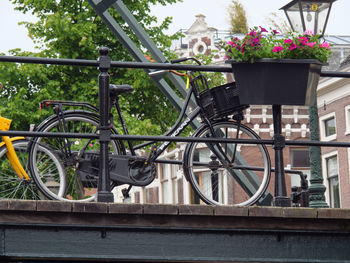 View of potted plants on railing